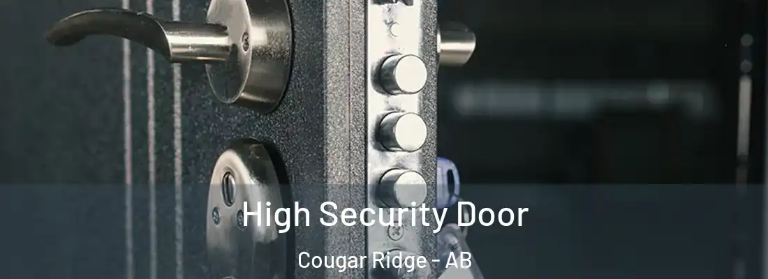  High Security Door Cougar Ridge - AB