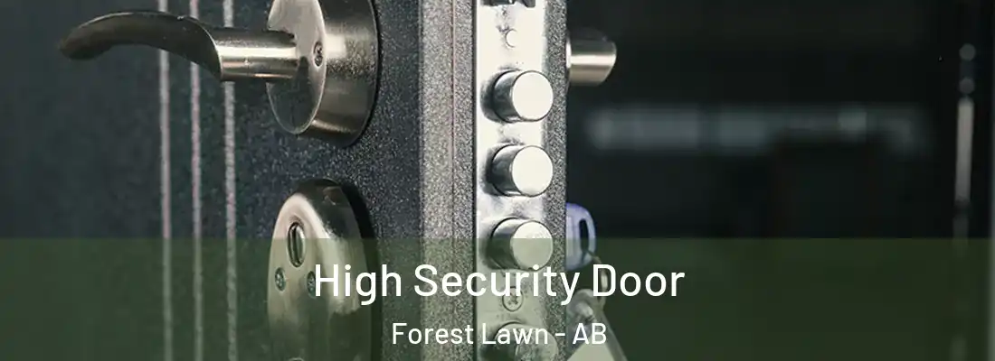 High Security Door Forest Lawn - AB