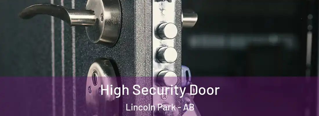  High Security Door Lincoln Park - AB