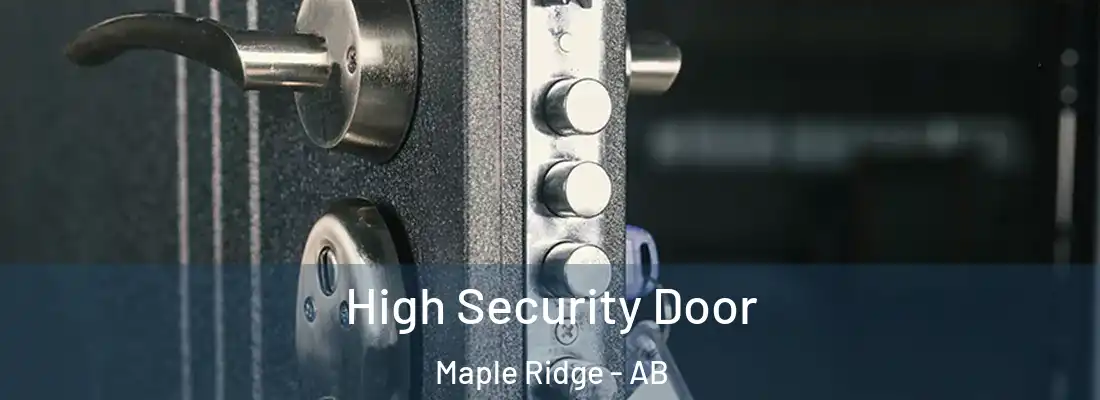  High Security Door Maple Ridge - AB