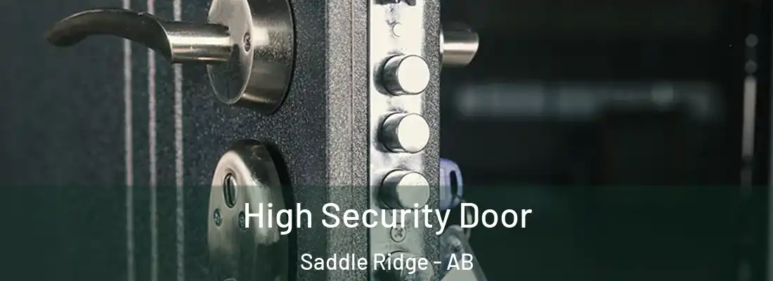  High Security Door Saddle Ridge - AB