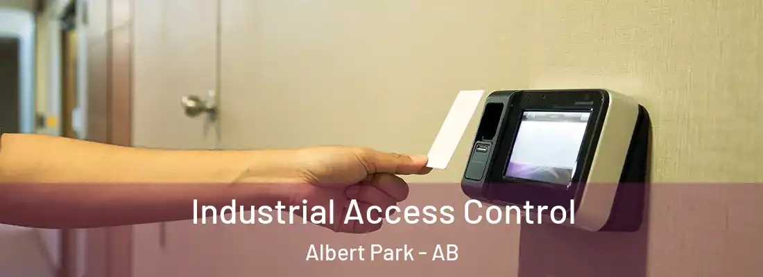  Industrial Access Control Albert Park - AB