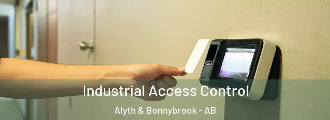  Industrial Access Control Alyth & Bonnybrook - AB