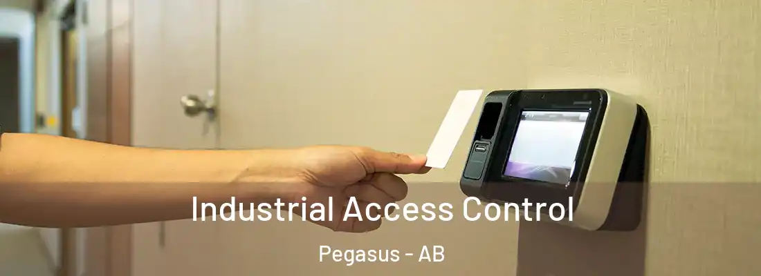  Industrial Access Control Pegasus - AB