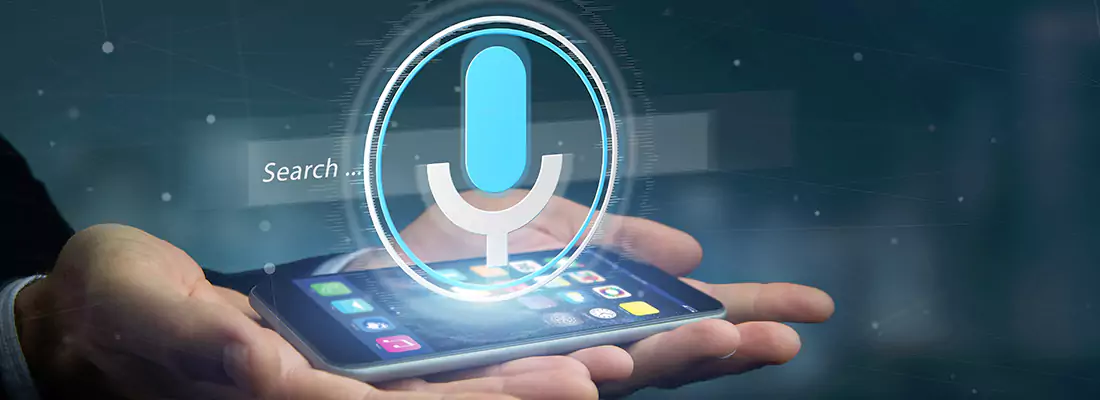 Enhance Security with Voice Recognition Access Systems in Forest Lawn, AB