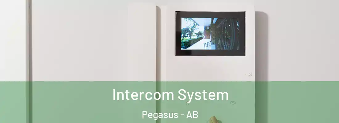  Intercom System Pegasus - AB