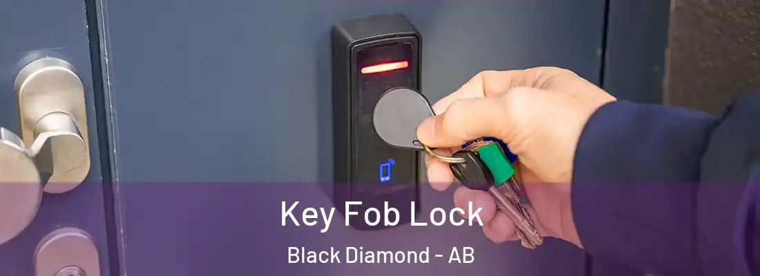  Key Fob Lock Black Diamond - AB