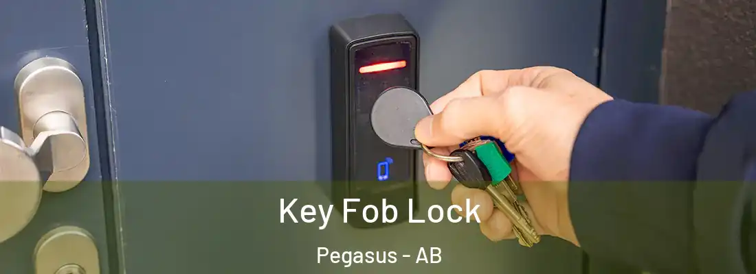  Key Fob Lock Pegasus - AB