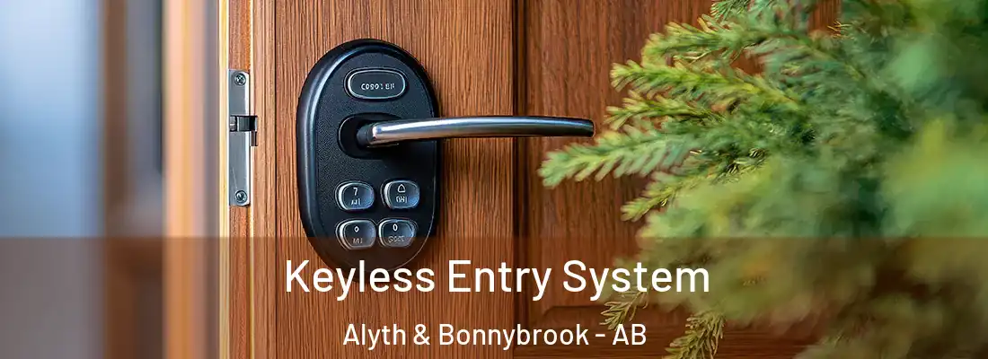  Keyless Entry System Alyth & Bonnybrook - AB