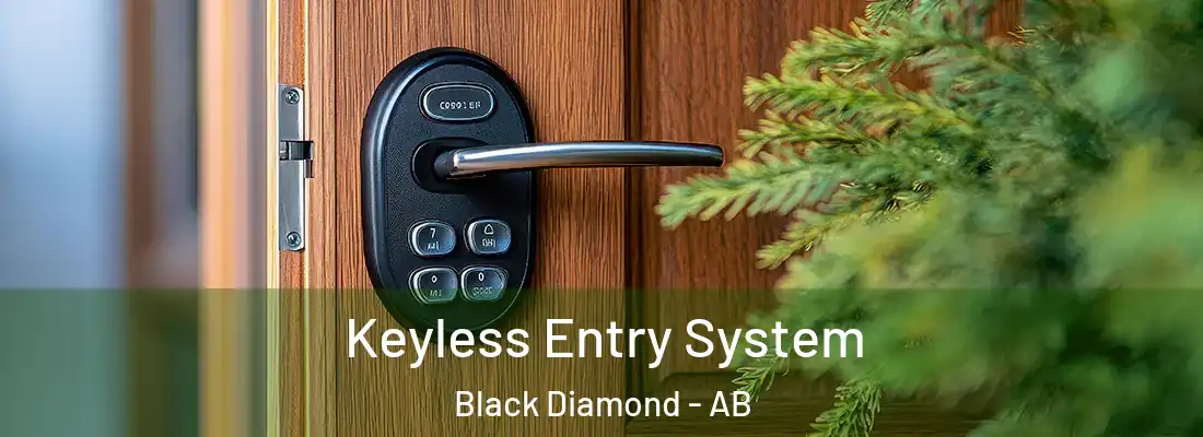  Keyless Entry System Black Diamond - AB