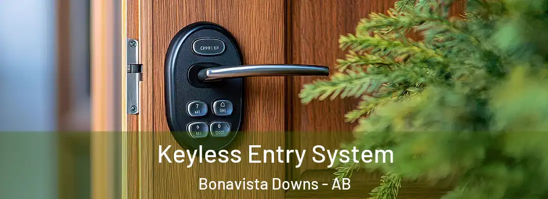  Keyless Entry System Bonavista Downs - AB