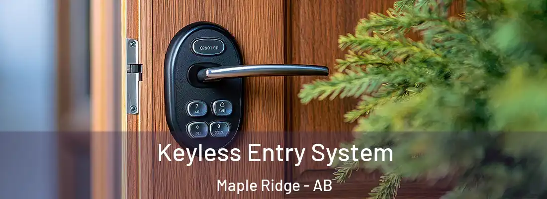  Keyless Entry System Maple Ridge - AB