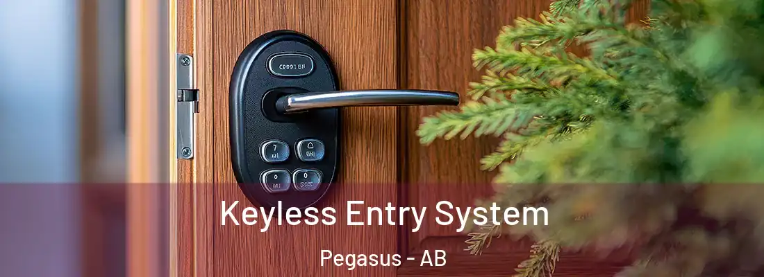  Keyless Entry System Pegasus - AB