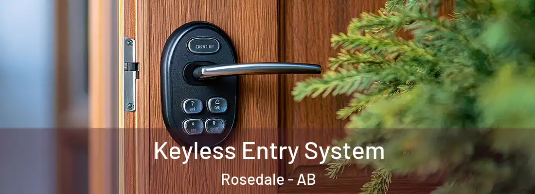  Keyless Entry System Rosedale - AB