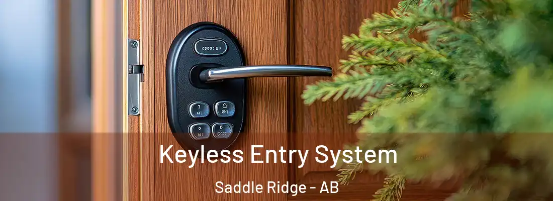  Keyless Entry System Saddle Ridge - AB