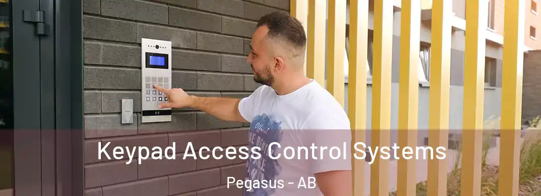  Keypad Access Control Systems Pegasus - AB