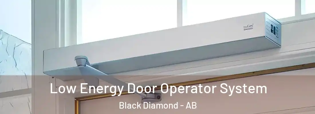  Low Energy Door Operator System Black Diamond - AB