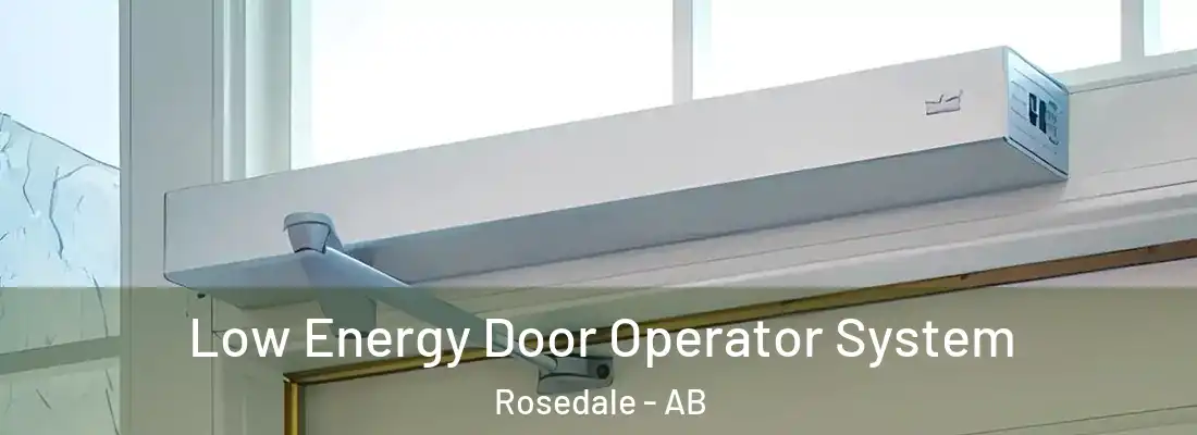  Low Energy Door Operator System Rosedale - AB