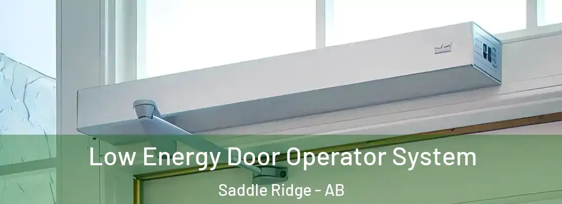  Low Energy Door Operator System Saddle Ridge - AB
