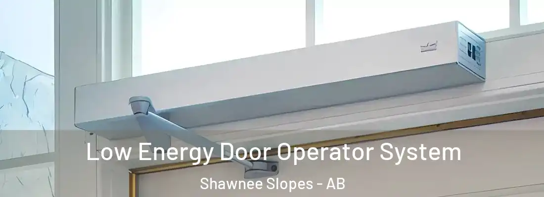  Low Energy Door Operator System Shawnee Slopes - AB
