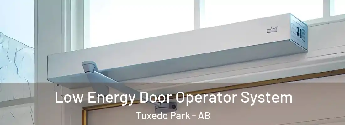  Low Energy Door Operator System Tuxedo Park - AB