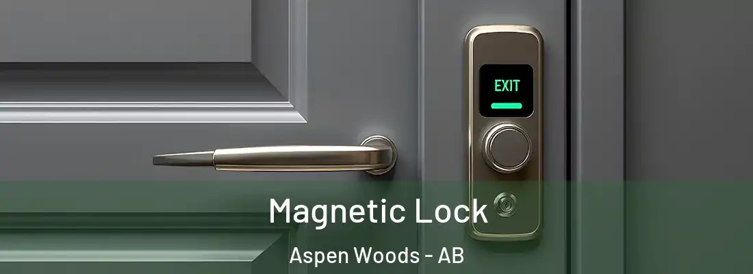  Magnetic Lock Aspen Woods - AB