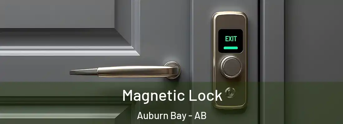  Magnetic Lock Auburn Bay - AB
