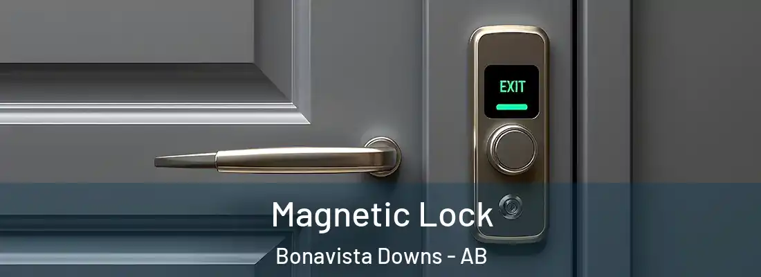  Magnetic Lock Bonavista Downs - AB