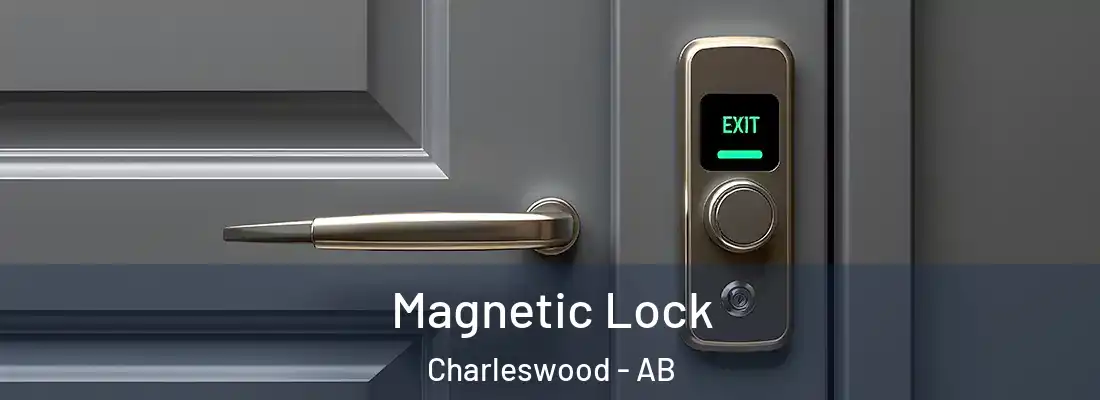 Magnetic Lock Charleswood - AB