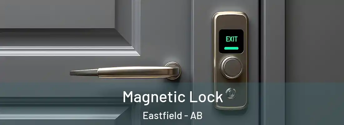  Magnetic Lock Eastfield - AB