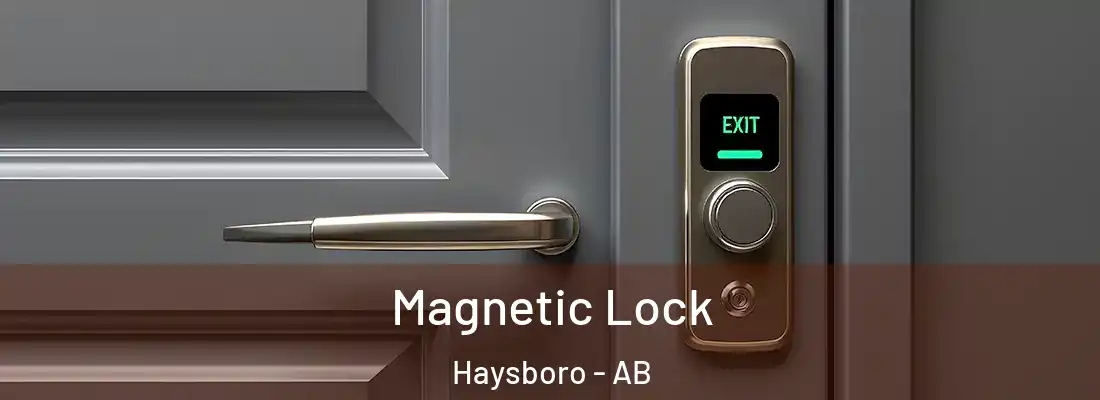  Magnetic Lock Haysboro - AB