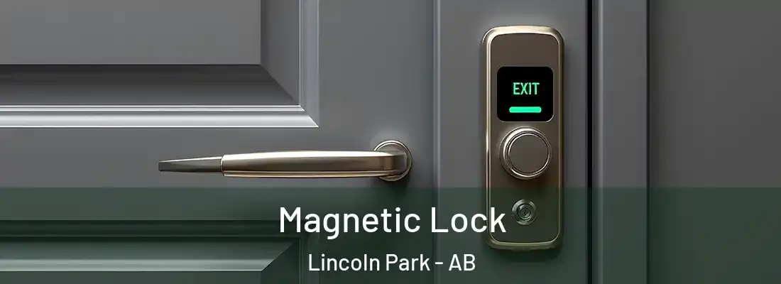  Magnetic Lock Lincoln Park - AB