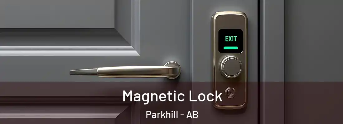  Magnetic Lock Parkhill - AB