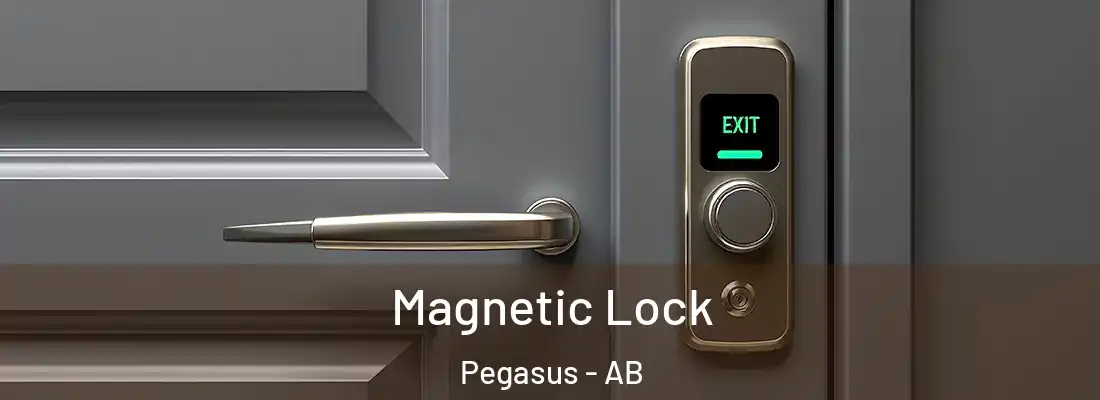  Magnetic Lock Pegasus - AB