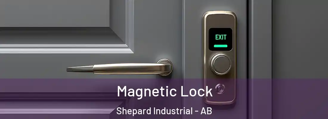  Magnetic Lock Shepard Industrial - AB