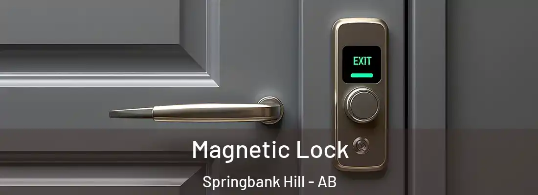  Magnetic Lock Springbank Hill - AB