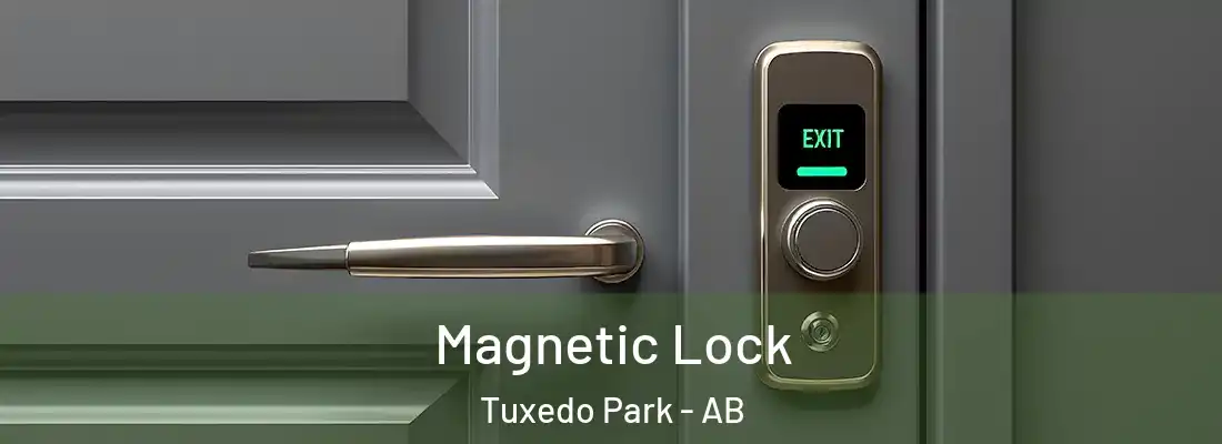  Magnetic Lock Tuxedo Park - AB