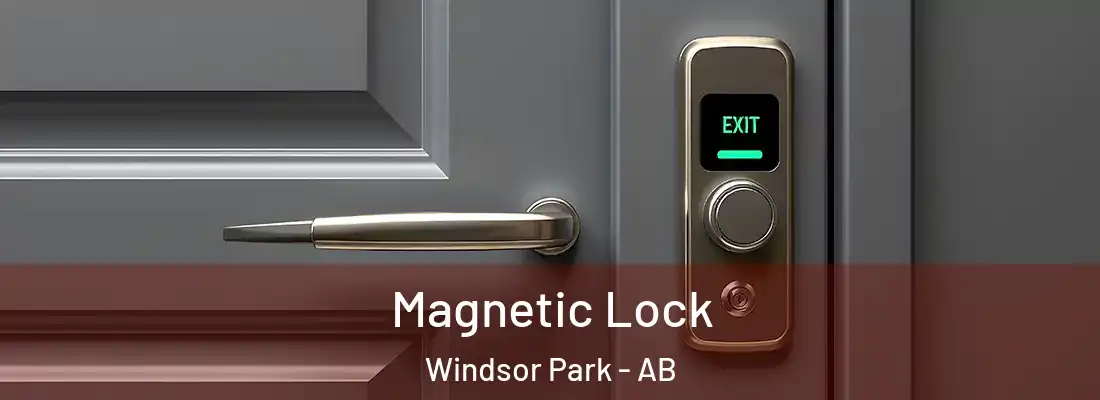  Magnetic Lock Windsor Park - AB