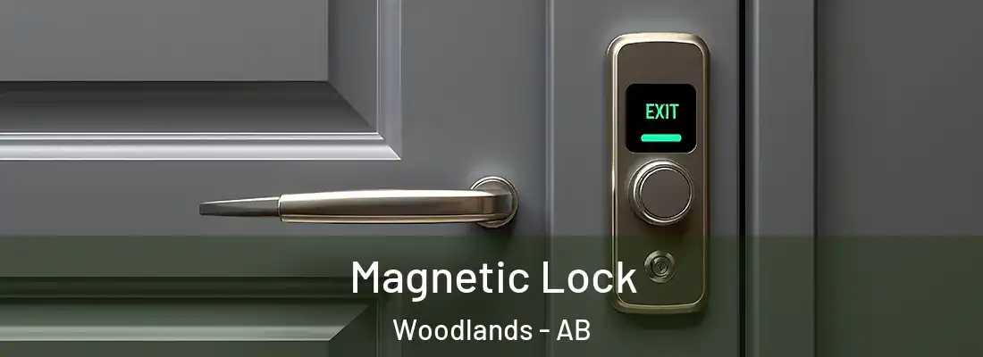  Magnetic Lock Woodlands - AB