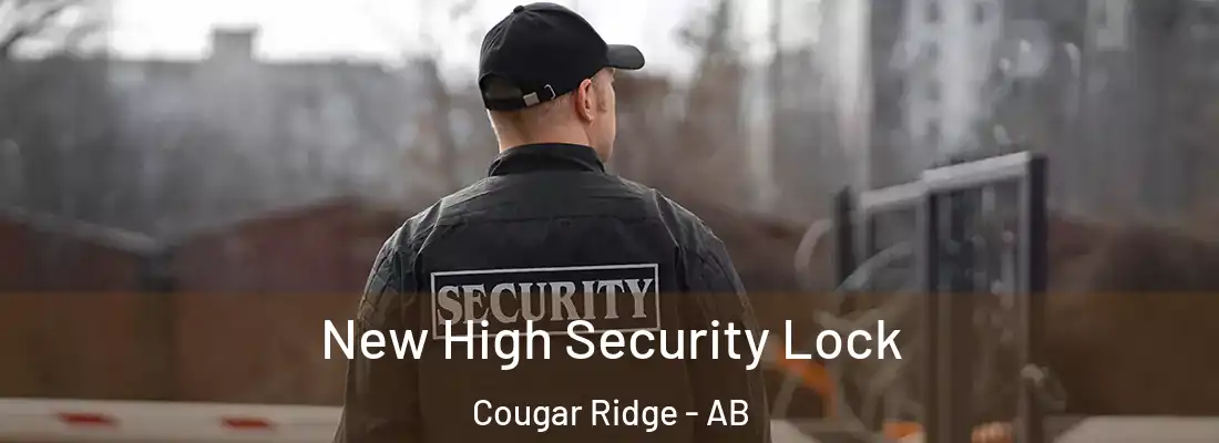  New High Security Lock Cougar Ridge - AB