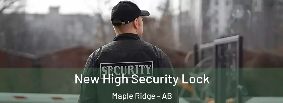  New High Security Lock Maple Ridge - AB