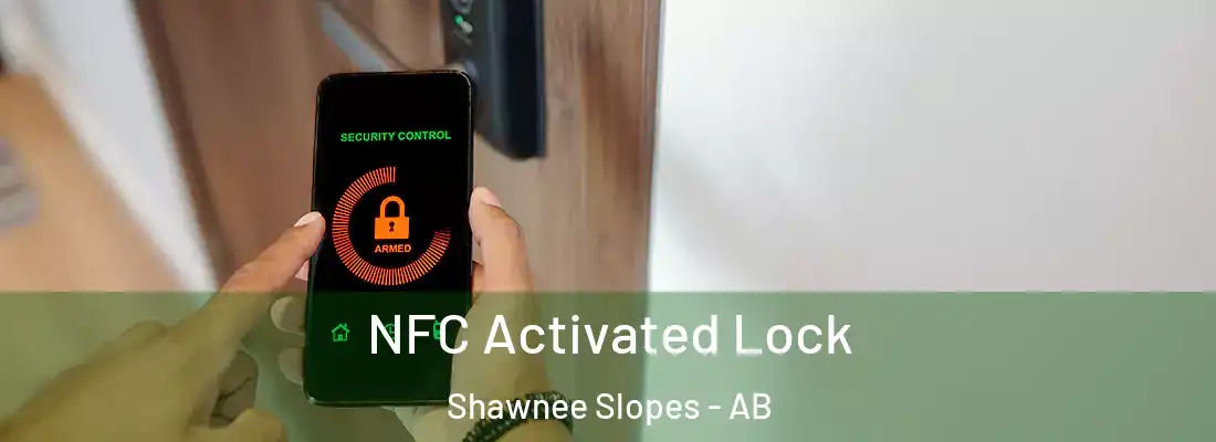  NFC Activated Lock Shawnee Slopes - AB
