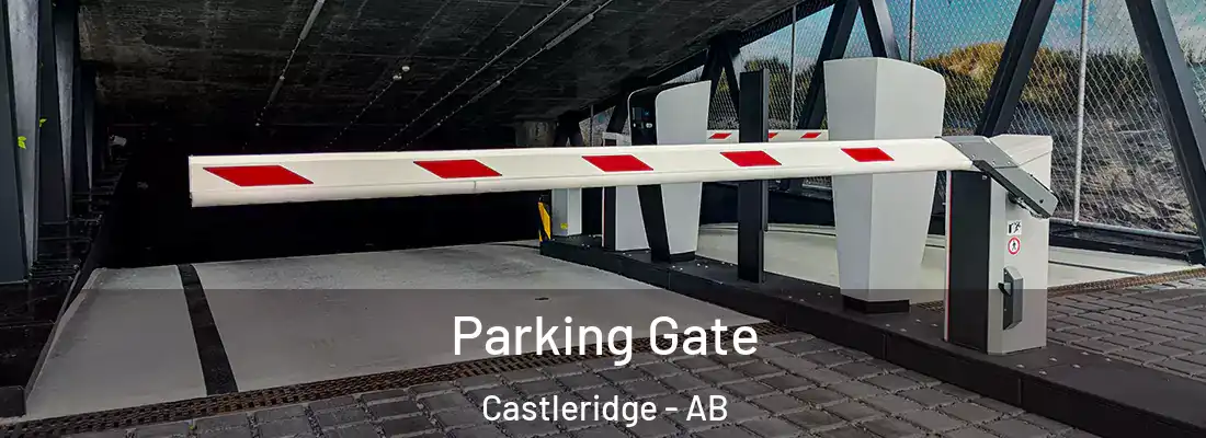  Parking Gate Castleridge - AB