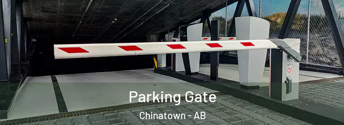  Parking Gate Chinatown - AB
