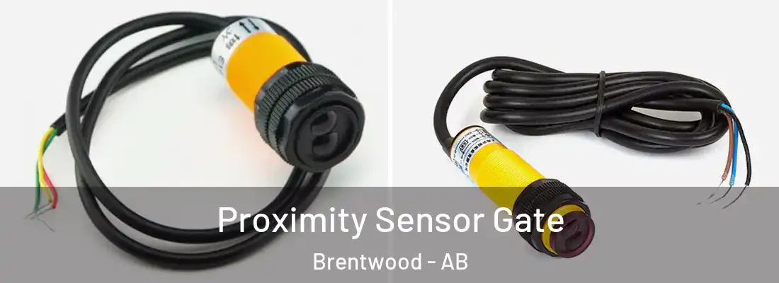 Proximity Sensor Gate Brentwood - AB