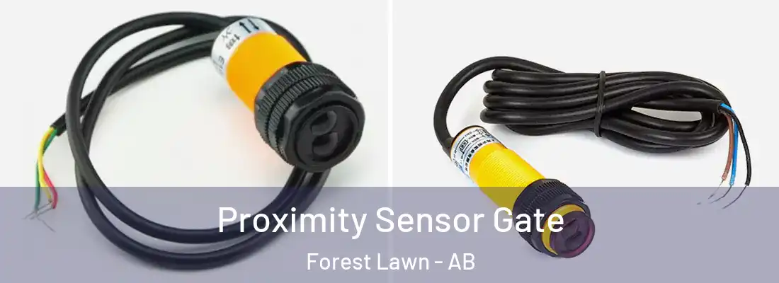  Proximity Sensor Gate Forest Lawn - AB