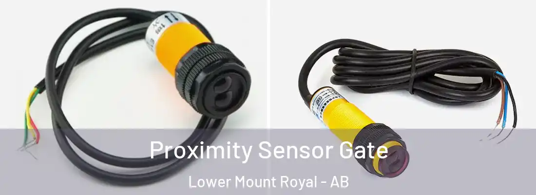  Proximity Sensor Gate Lower Mount Royal - AB