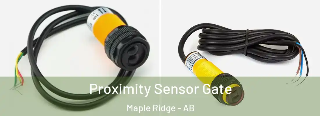  Proximity Sensor Gate Maple Ridge - AB