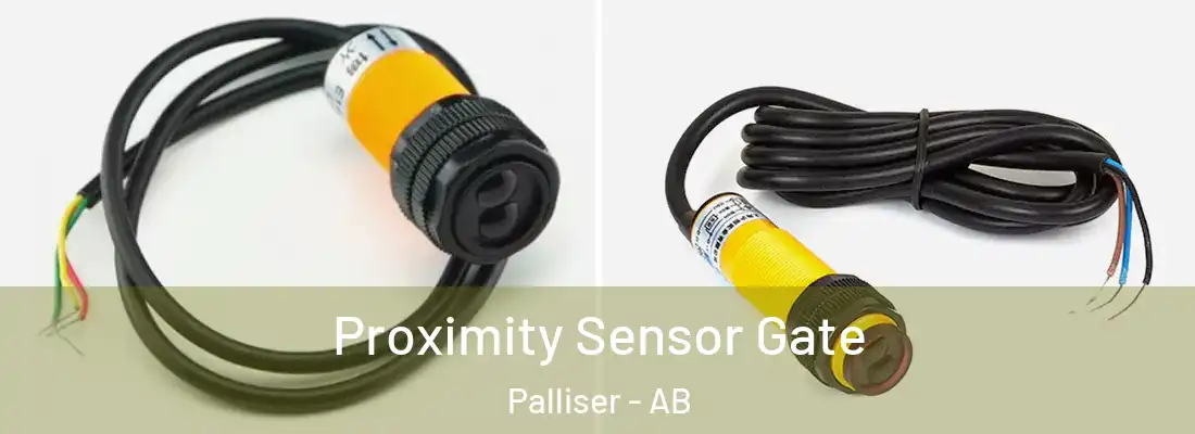  Proximity Sensor Gate Palliser - AB