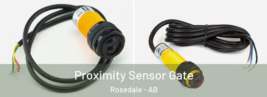  Proximity Sensor Gate Rosedale - AB